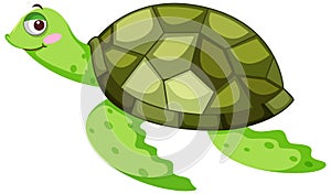 Green turtle in cartoon character