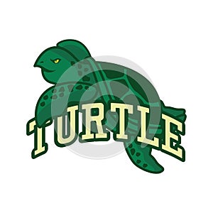 Green turtle logo isolated on white background, vector illustration