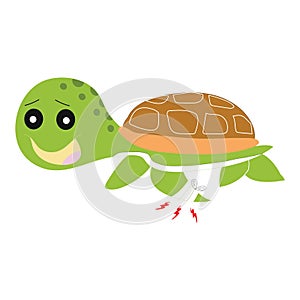 Zelený želva bolestivý 