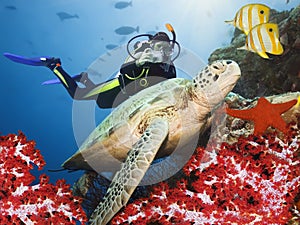 Green turtle underwater