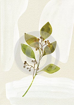 Green twig leaves, golden berries, beige paper grain background.