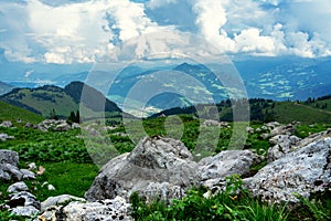 Green tyrol alm alps nature landscape in Austria at summer with big rocks