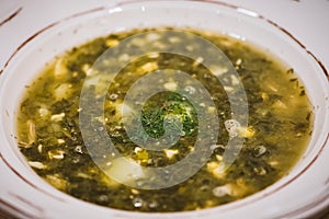 Green Ukrainian Borscht or sour soup, made with meat