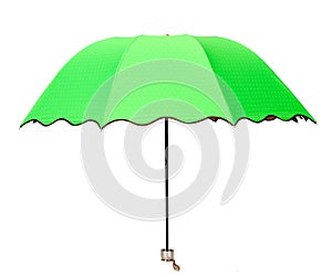 Green umbrella