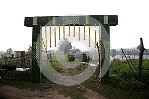 A green  Unique Coconut Leaf  arch