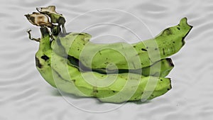 Green unripe banana (Musa paradisiaca Linn) underwater Hd footage
