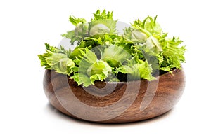 Green unripe hazelnuts in wooden bowl isolated on white