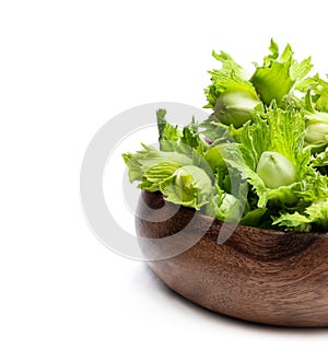 Green unripe hazelnuts in wooden bowl isolated on white