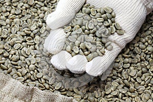 Green unroasted coffee beans