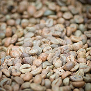 Green unroasted coffee beans