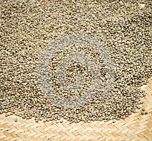 Green unroasted coffee beans on mat