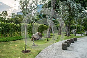 Green urban city park. Trees, grass, footway photo