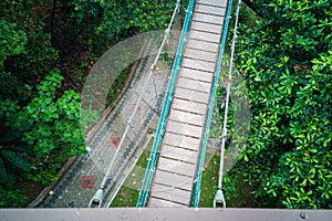 Green Urban Oasis: Canopy Walk in Kuala Lumpur Forest Eco Park