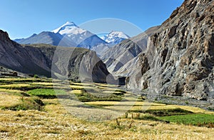 Green valley along Markha valley trek with Kang Yatse peak at background, Ladakh, India