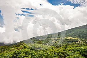 The green valley beneath the volcanoes, El Salvador