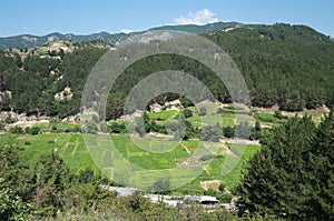 Green Valley Cultivated To Tobacco photo