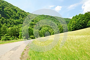 Green Valley with empty road