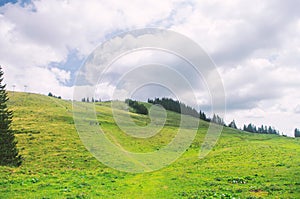 Green valley in hiils, green grass, cloudy sky. national park