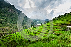 Green valley on Manaslu circuit in Himalaya mountains, Nepal