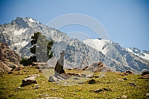 Green valley and mountains