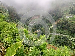 green valley mountains with mist descending to cover the trees