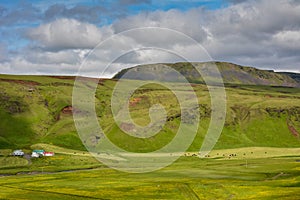 Green valley near Vik, Iceland on overcast summer day