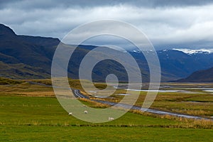 Green valley and overcast sky in Iceland.