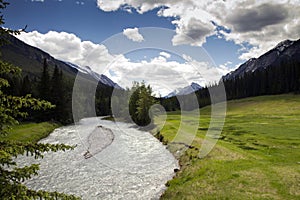 Green valley in the rockies