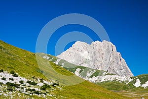 Green valley in summer, among the rocky mountains of the Abruzzi National Park