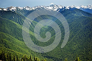 Green Valleys Snow Mountains Hurricane Ridge