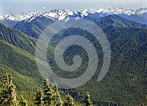 Green Valleys Snow Mountains Hurricane Ridge