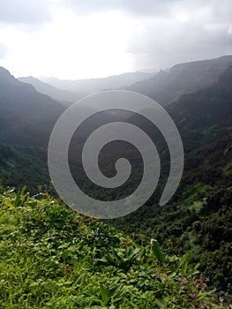 Green Vally view from the edge of Amboli Kavalesad Vally