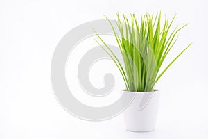 A green vase in a white pot. Grass on a white background.