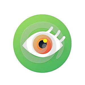 Green vector browse eye chart icon photo