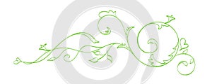 Green Vector Hand Drawn Calligraphic Separator. Spring Flourish Design Element. Floral light style decor for greeting