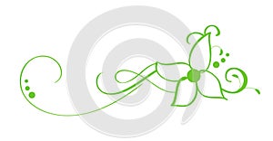Green Vector Hand Drawn Calligraphic Separator. Spring Flourish Design Element. Floral light style decor for greeting
