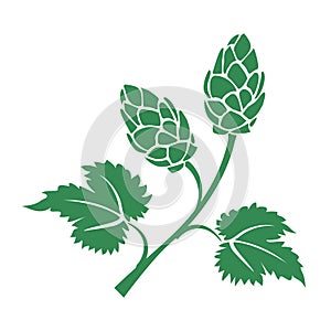 Green vector hops icon