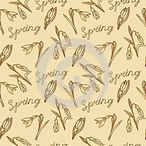 Green, vector, spring, nature, flower, illustration, snowdrop, b