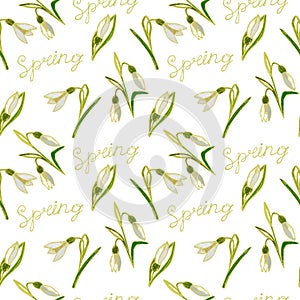 Green, vector, spring, nature, flower, illustration, snowdrop, b