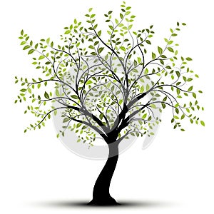 Green vector tree, white background