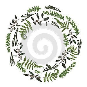 Green vector wreath frame made from twigs and leaves. Forest fern, herbs, eucalyptus, branches boxwood, buxus, brunia, botanical