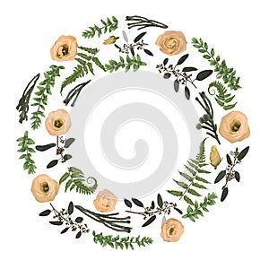 Green vector wreath frame made from twigs and leaves. Forest fern, herbs, eucalyptus, branches boxwood, buxus, brunia, botanical