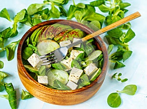 Green vegan salad with tofu
