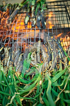 Season of delicious charcoal grilled calsots photo