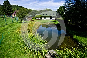 Green vegetable garden of a private house