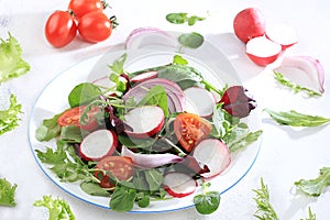 Green vegetable salad with cherry tomatoes, cucumber, radish and fresh arugula on a sunny table with shadows, detox diet. Healthy