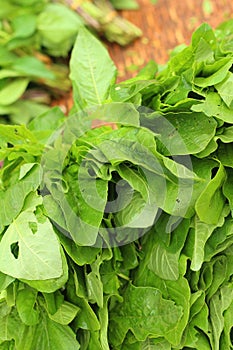 Green vegetables in the basket at the market