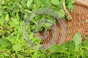 Green vegetables in the basket at the market