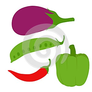 Green  vegetables chili  Bean Capsicum and Baingan Gol Round eggplant  vector  artwork  and illustration