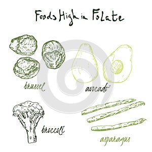 Green vegetables food high in folate, folic acid . Farmers eco and organic food market template. Folate vegetables food